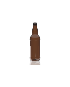 beer bottle 500ml in amber colour perfect for homebrewing