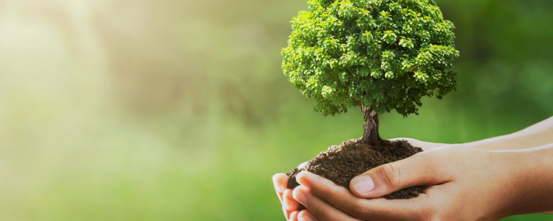Be the Change - Earth Day 2025