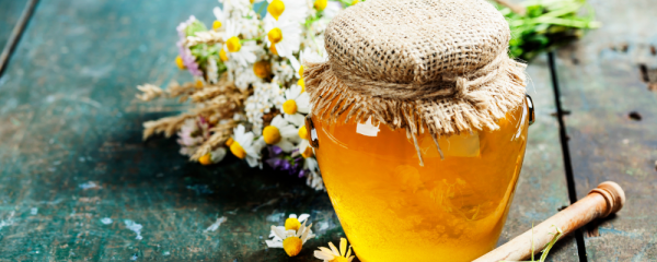Harvesting Honey in the UK: A Practical Guide for Artisan Beekeepers